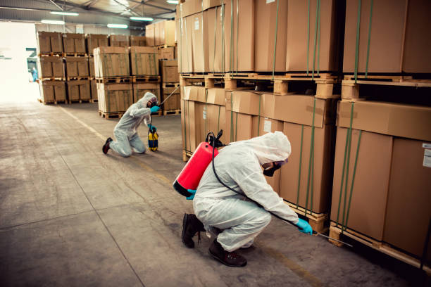 Best Pest Removal Services  in Fish Hawk, FL