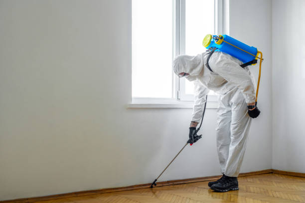 Professional Pest Control in Fish Hawk, FL