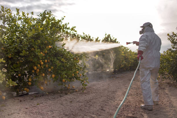 Best Local Pest Control Services  in Fish Hawk, FL