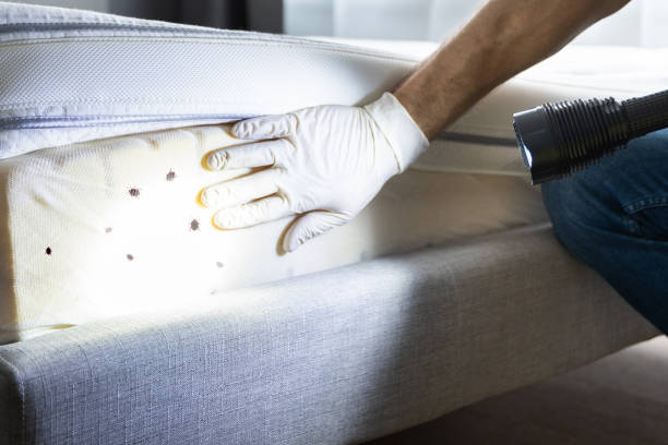 Best Emergency Pest Control  in Fish Hawk, FL