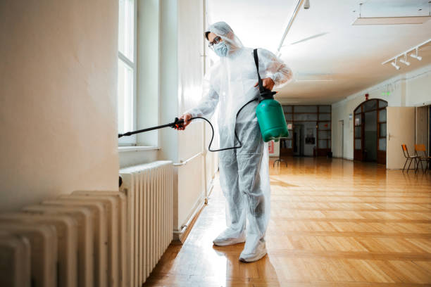 Best Pest Control Near Me  in Fish Hawk, FL