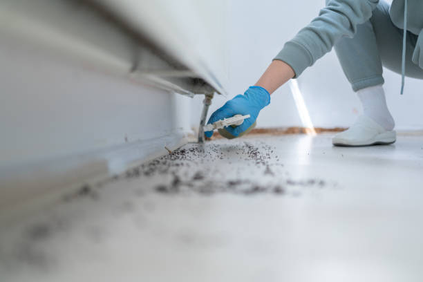 Best Best Pest Control Companies  in Fish Hawk, FL