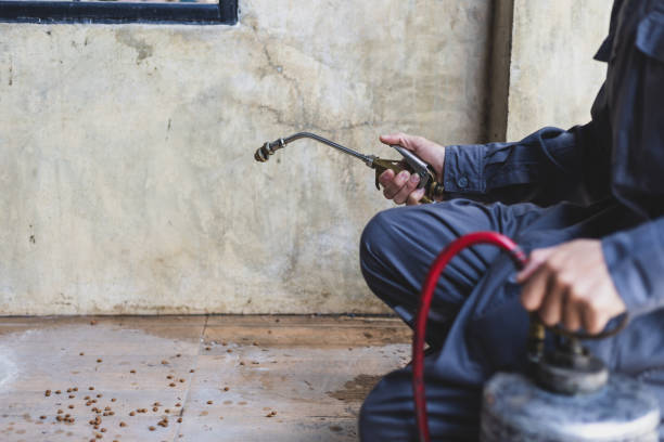 Best Pest Control Treatment  in Fish Hawk, FL